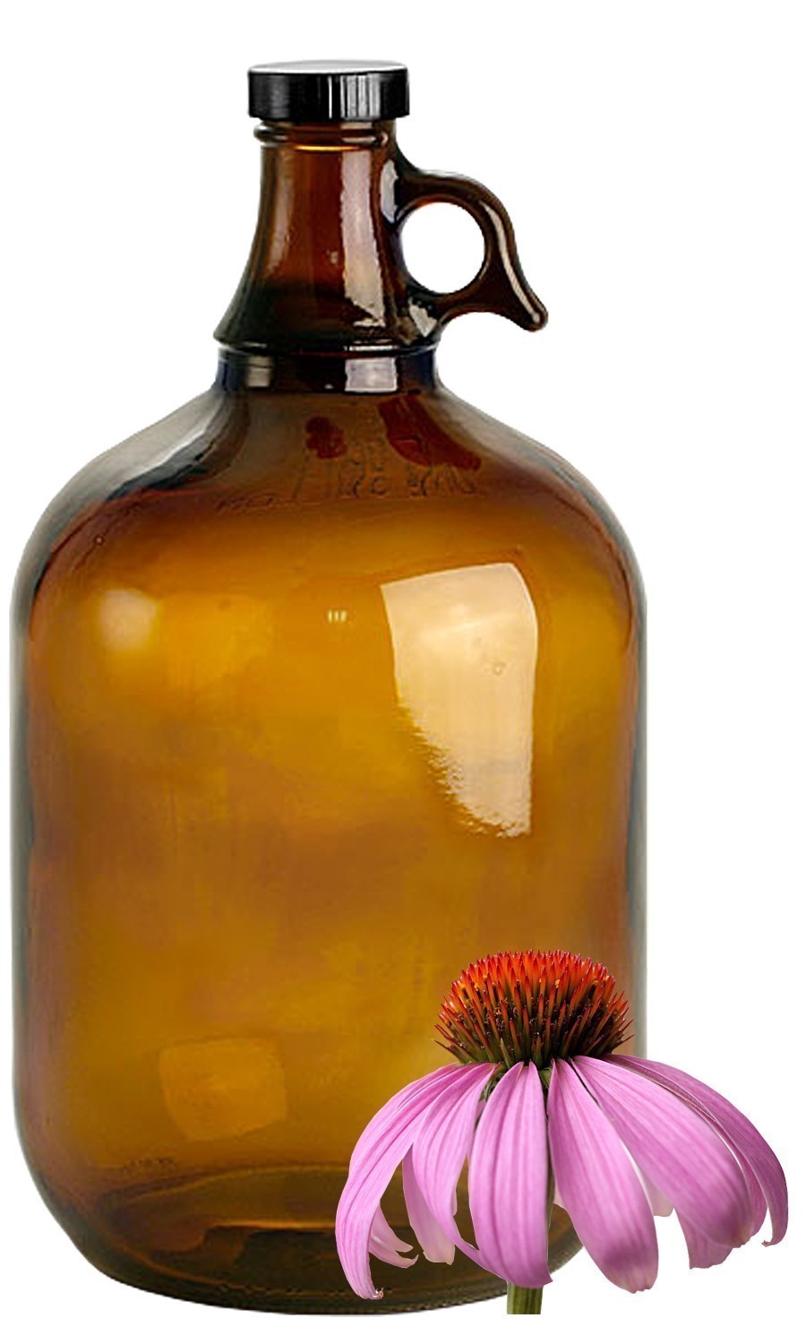 Echinacea Bulk Liquid Extracts
