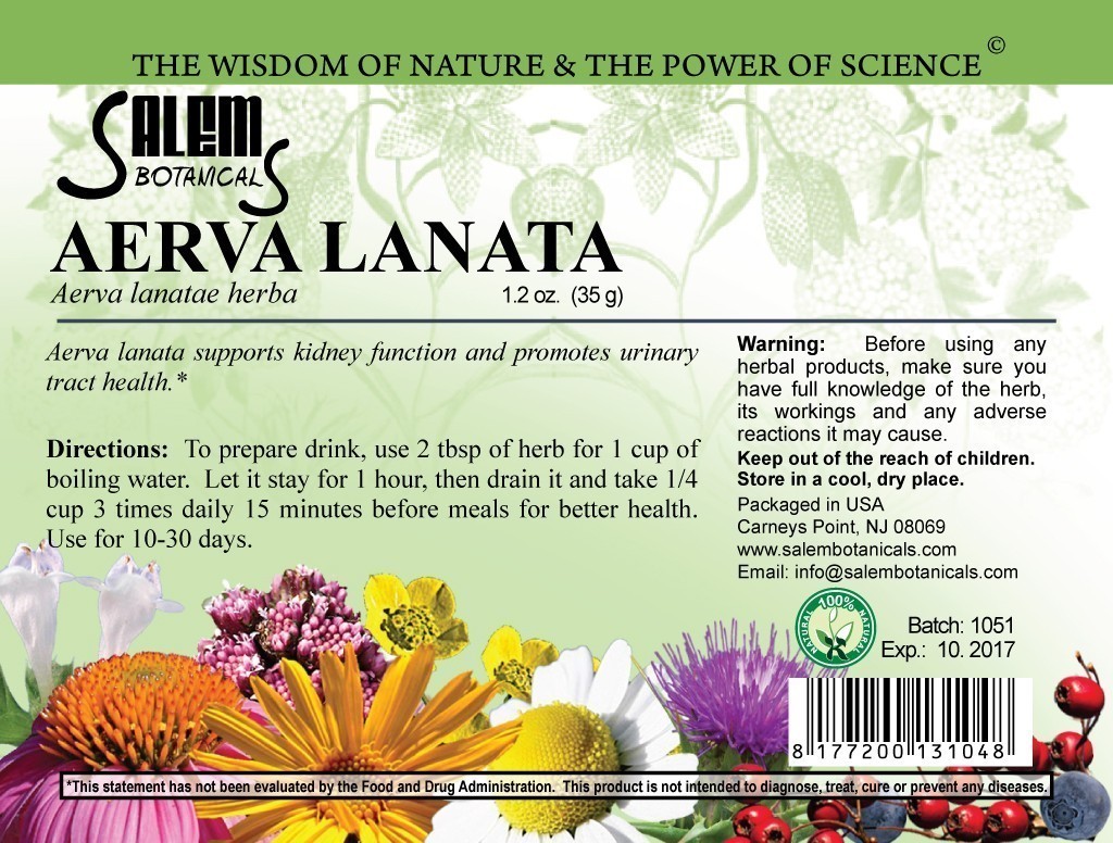 Aerva Lanata Dry Herbs, Berries and Fruits