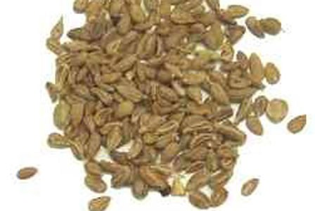 Anise Seed Bulk Dry Herb