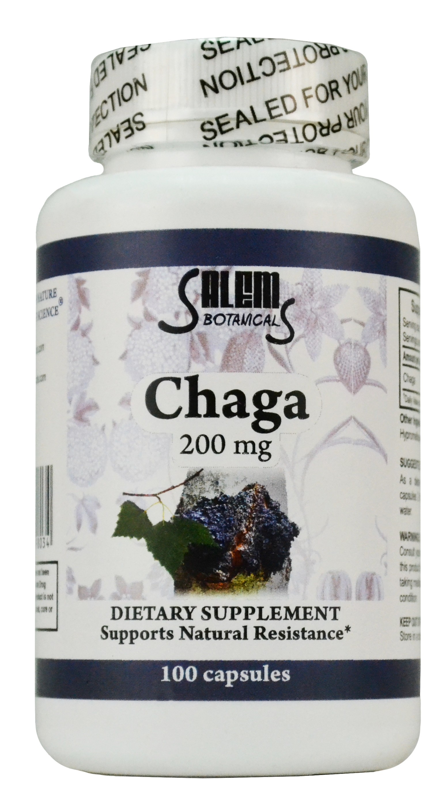 Chaga Capsules Dietary Supplements