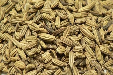 Fennel Seed Bulk Dry Herb