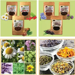 Dry Herbs, Berries and Fruits